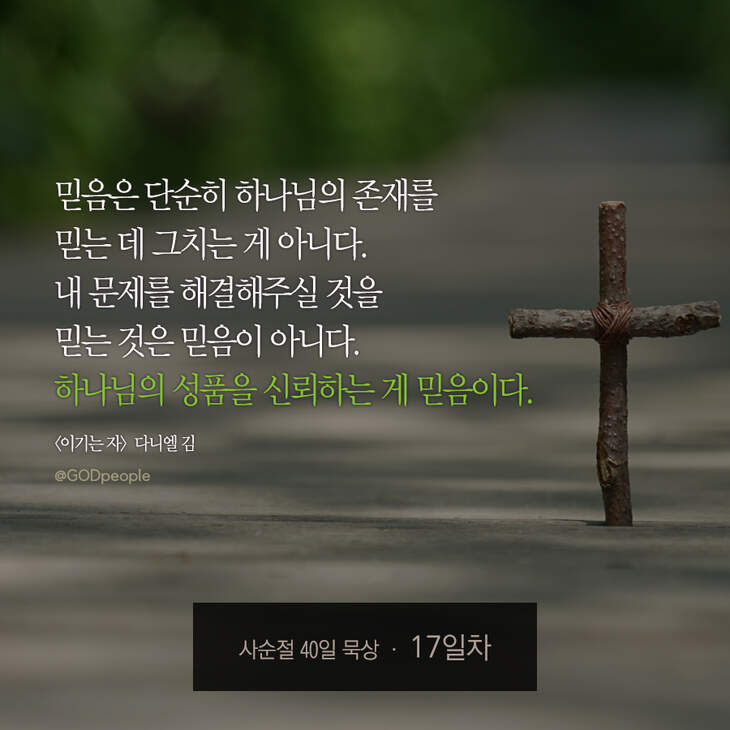 730_days40_17.jpg 730_days40_17.jpg