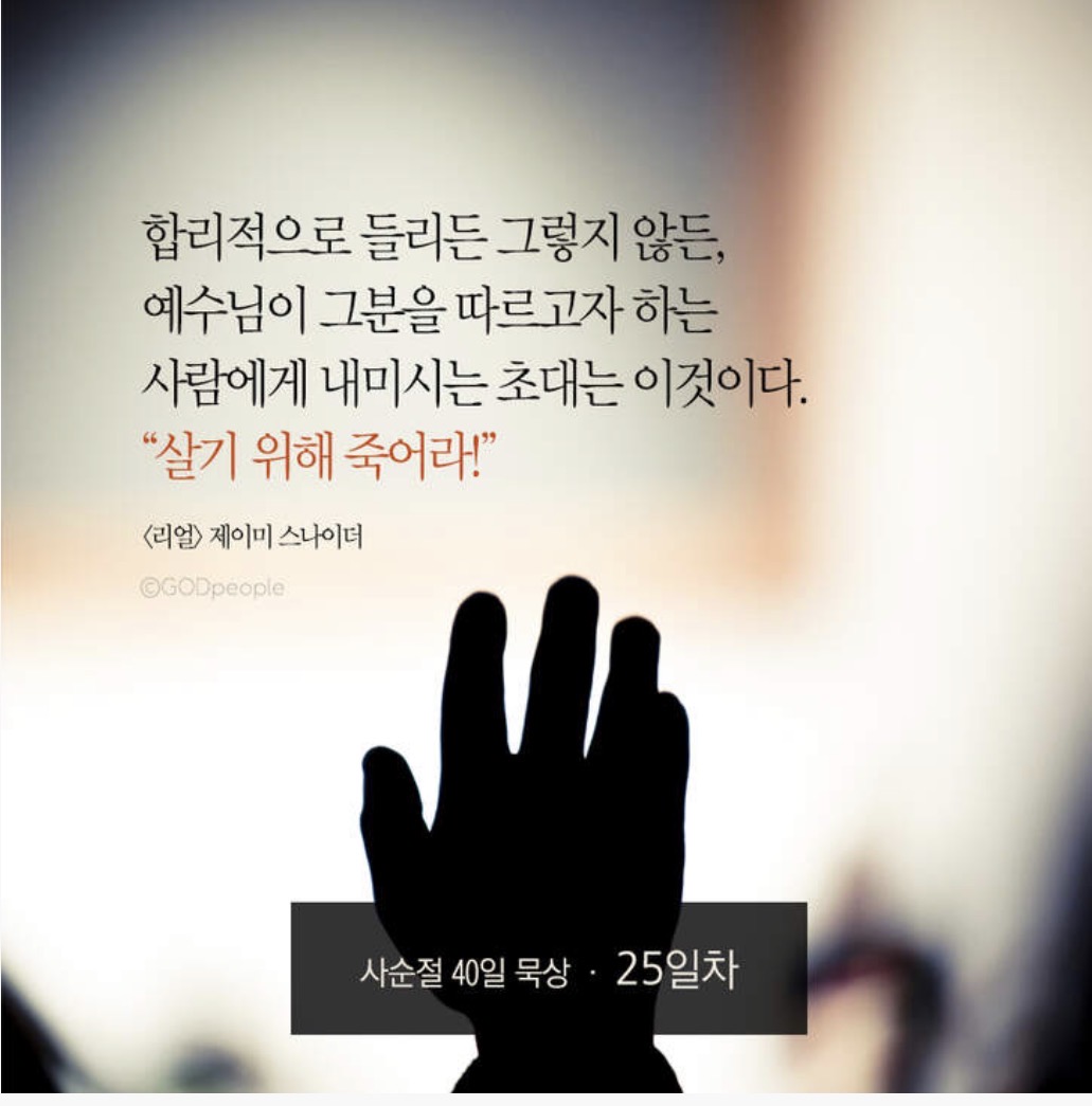 IMG_9505.jpeg IMG_9505.jpeg