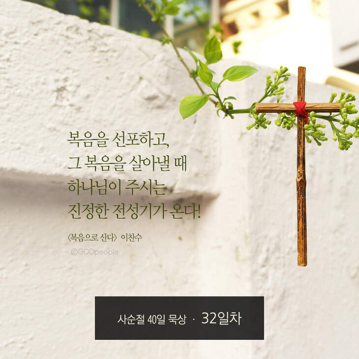 730_days40_32.jpg 730_days40_32.jpg