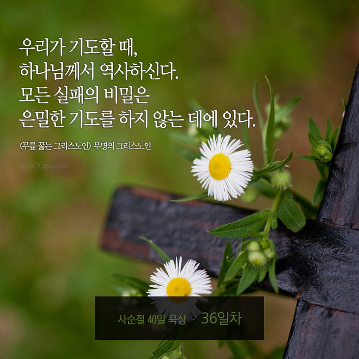 730_days40_36-2.jpg 730_days40_36-2.jpg