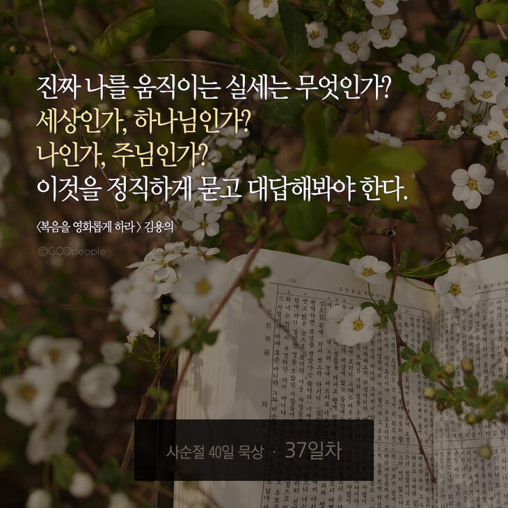 730_days40_37.jpg 730_days40_37.jpg